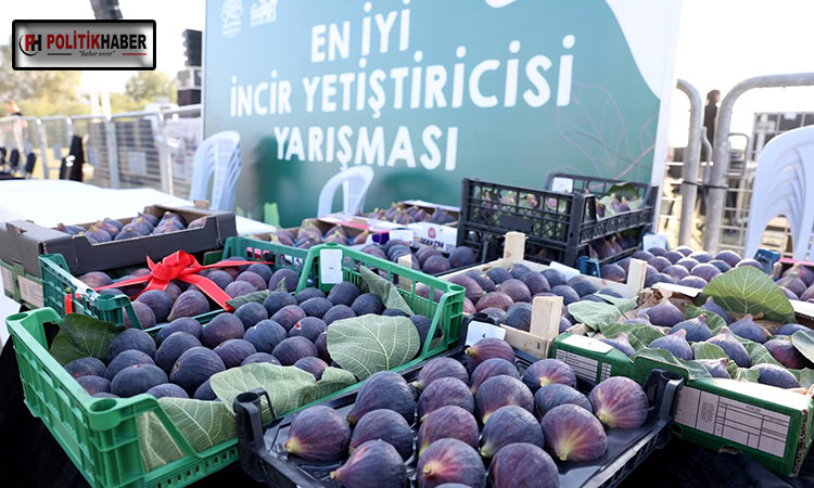 11. Akçalar İncir Festivali 14 Eylül'de