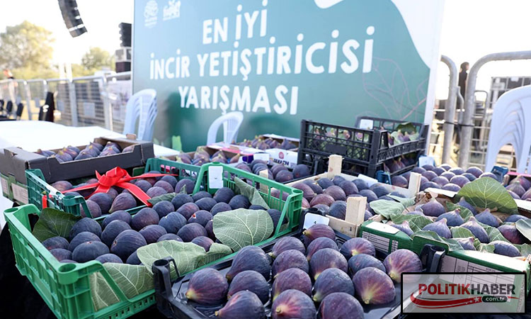 12. Akçalar Fadıllı İncir Festivali 13 Eylül’de