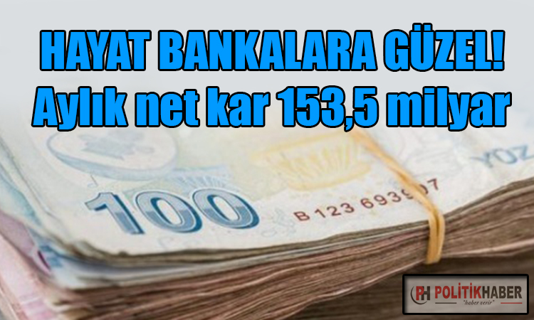 Bankalardan rekor kar!