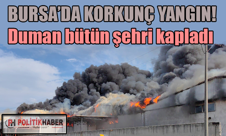 Bursa'da korkunç yangın!