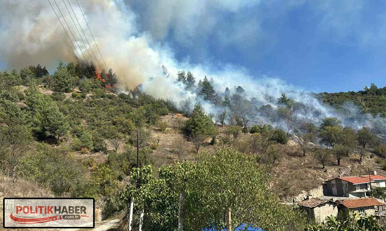 Büyükorhan'da orman yangını!