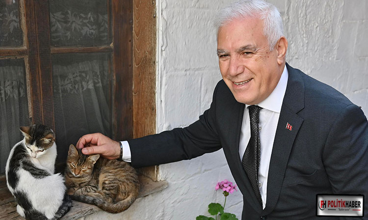 Büyükşehir patili dostların yanında!