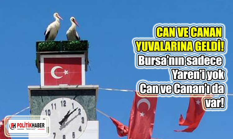 Can ve Canan, yuvalarına geldi