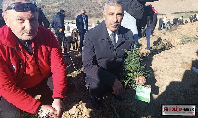 Fidanlar toprakla buluştu