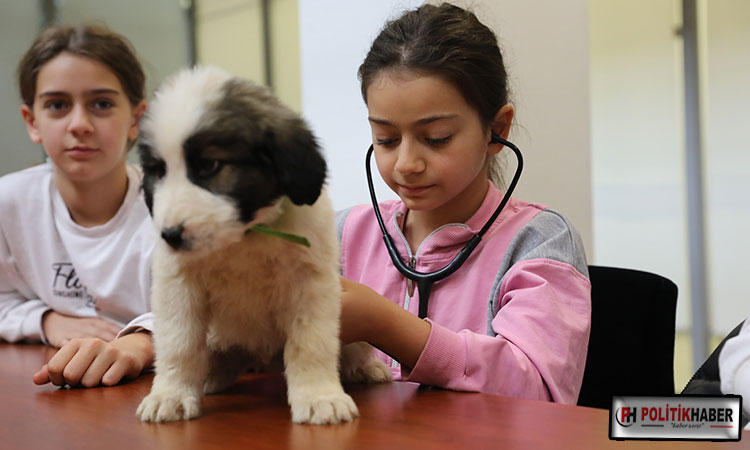 Minik veterinerler görev başında!