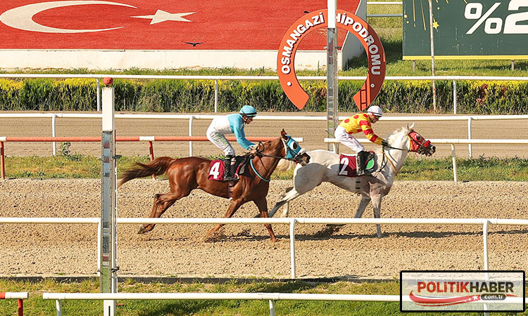 Nilüfer Belediye Başkanlığı Koşusu’nu ‘Aşkartay’ kazandı