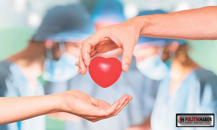 Organ nakli haftasında acı tablo!