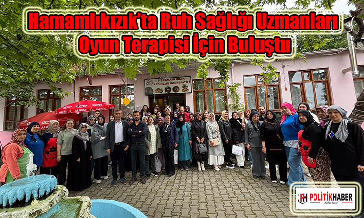Ruh Sağlığı Uzmanları Oyun Terapisi İçin Buluştu