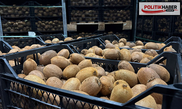 Tarımda sessiz devrim!