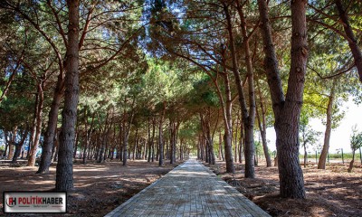 Bursa'ya devasa park ve mesire alanı!