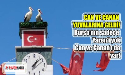 Can ve Canan, yuvalarına geldi