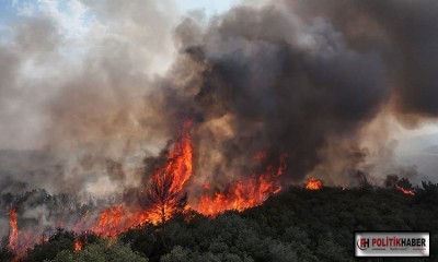Çanakkale'deki yangın 2 gündür sürüyor!