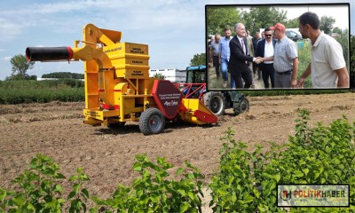 Cerrah kuru fasulyesinin hasadı başladı