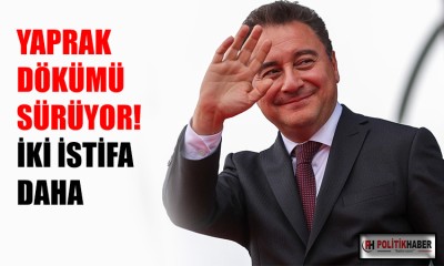 DEVA Partisi'nde çifte istifa