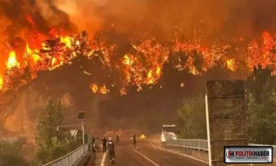 Eskişehir'de 11 orman işçisi şehit oldu