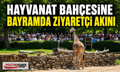 Hayvanat Bahçesi'ne bayramda ziyaretçi akını