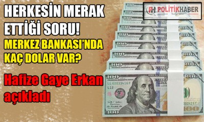 Merkez Bankası'nda ne kadar dolar var?