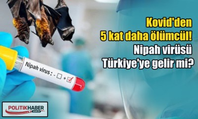 Nipah virüsü Türkiye'ye gelir mi?