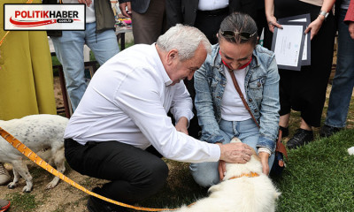 Sahiplendirme Şenliği’nde can dostlara yeni yuva