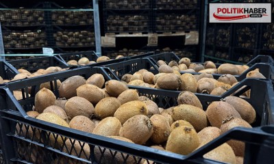 Tarımda sessiz devrim!