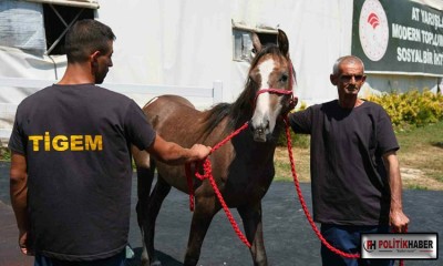 TİGEM’de dev gelir
