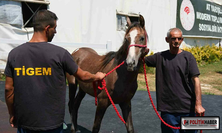 TİGEM’de dev gelir