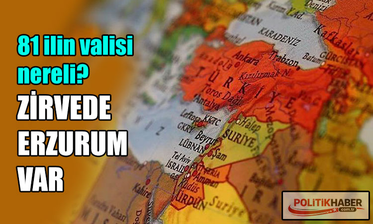81 ilin valisi nereli?