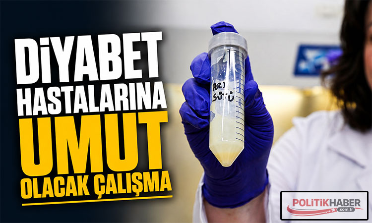 Arı sütü diyabet hastalarına umut olacak