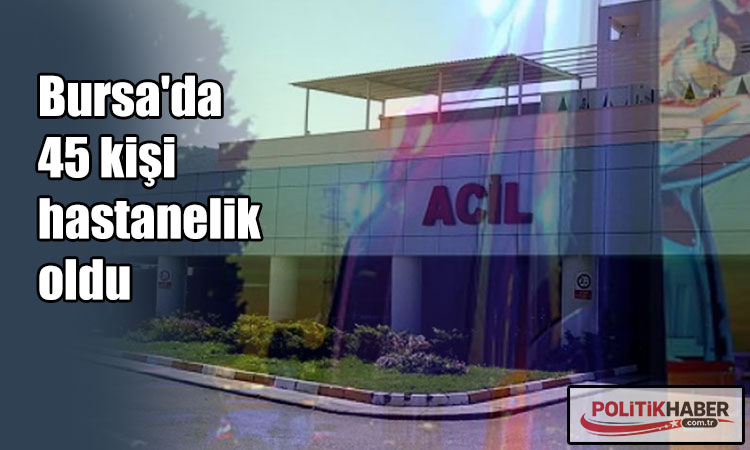 Bursa'da 45 kişi hastanelik oldu