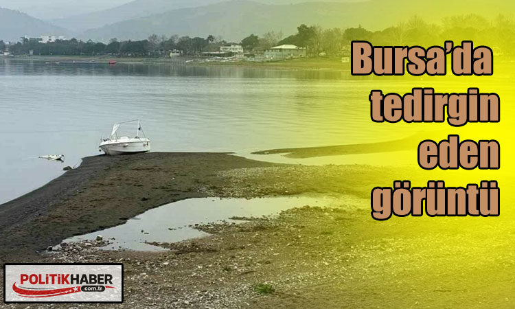 Bursa’da tedirgin eden görüntü