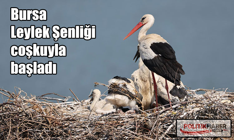 Bursa Leylek Şenliği coşkuyla başladı