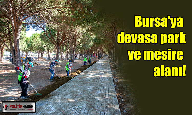 Bursa'ya devasa park ve mesire alanı!