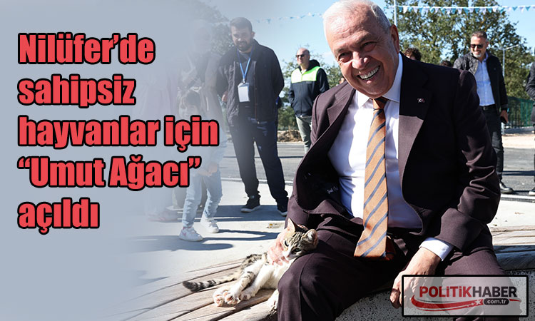 Nilüfer’de sahipsiz hayvanlar için “Umut Ağacı” açıldı