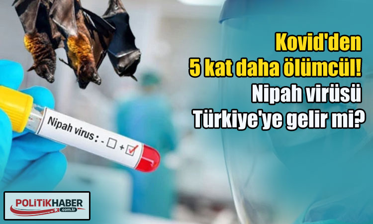 Nipah virüsü Türkiye'ye gelir mi?