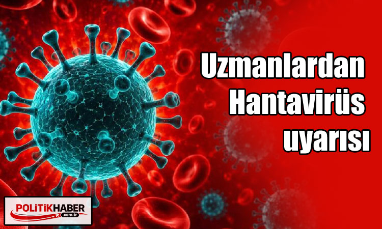Uzmanlardan Hantavirüs uyarısı!