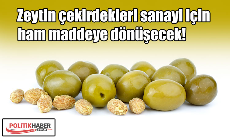 Zeytin çekirdekleri sanayi için ham maddeye dönüşecek!
